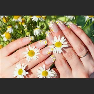 Shop cách Wynyard 10 phút đi xe bus cần tuyển thợ nails